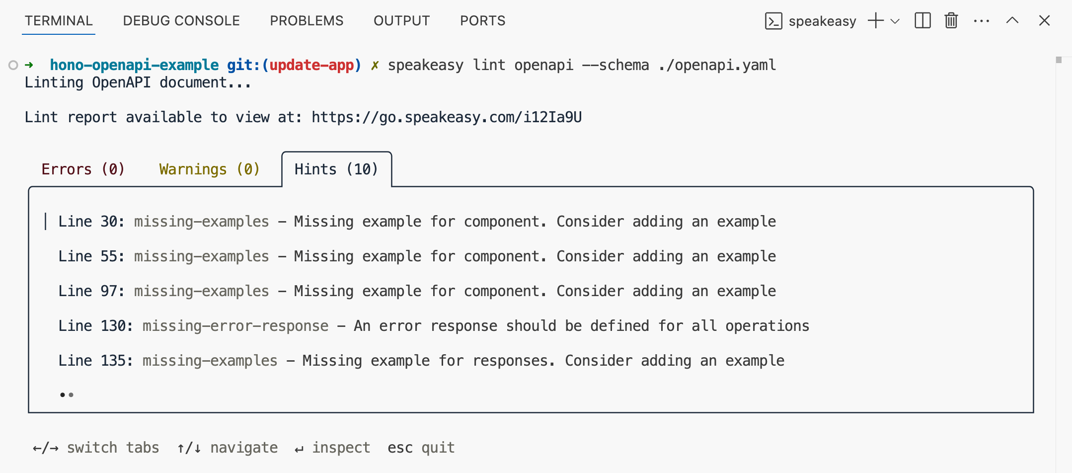 Speakeasy lint report