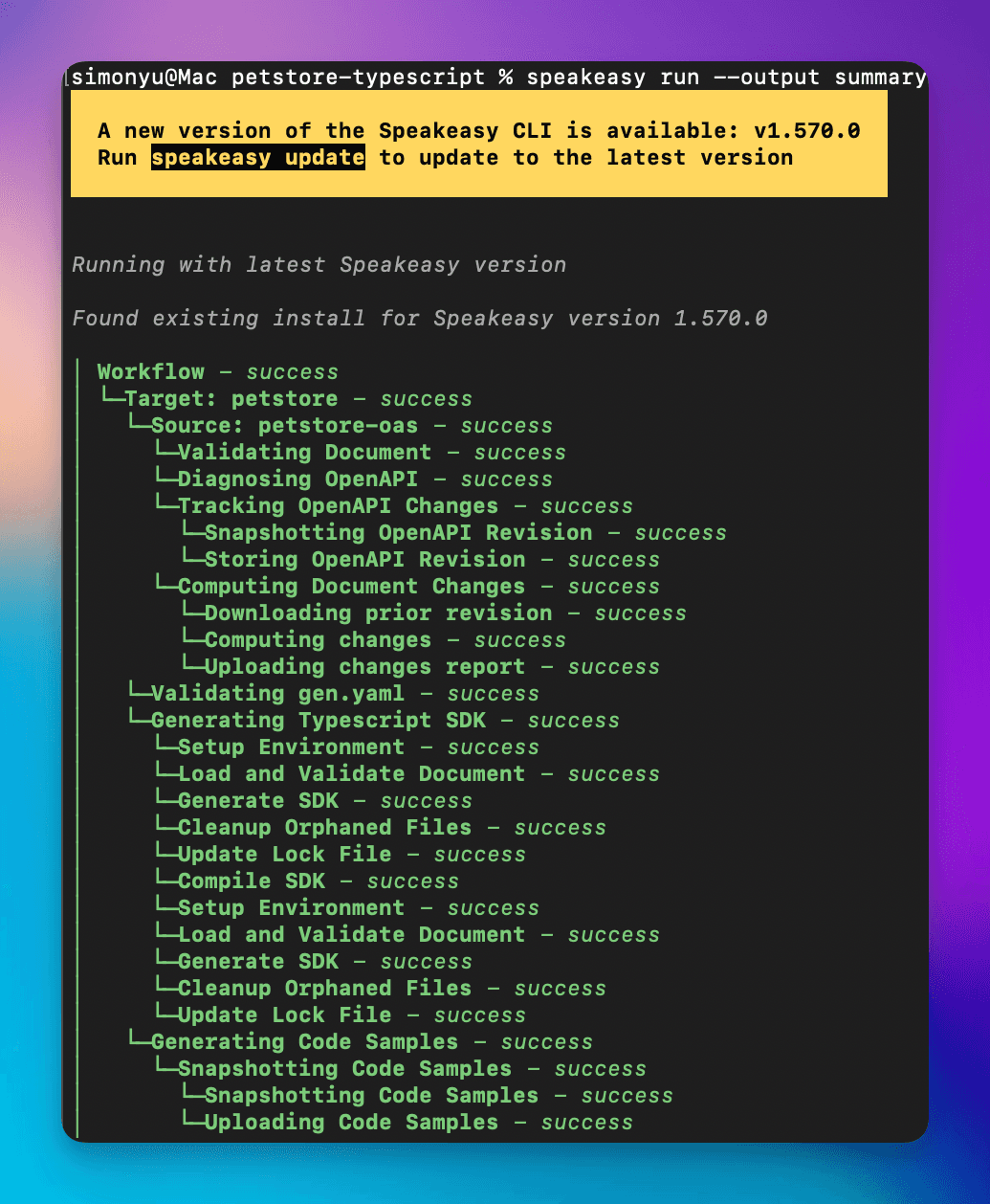 Summary output showing concise speakeasy run results
